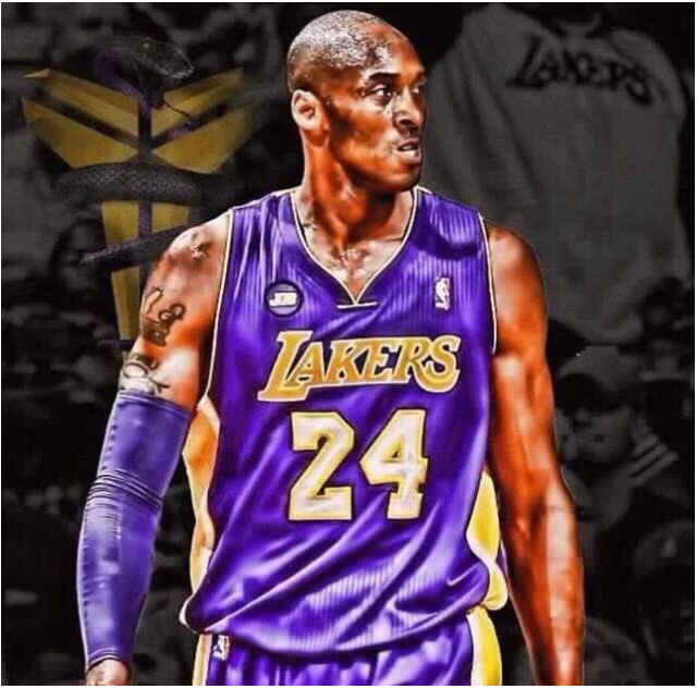 他们以完全 他们以完全