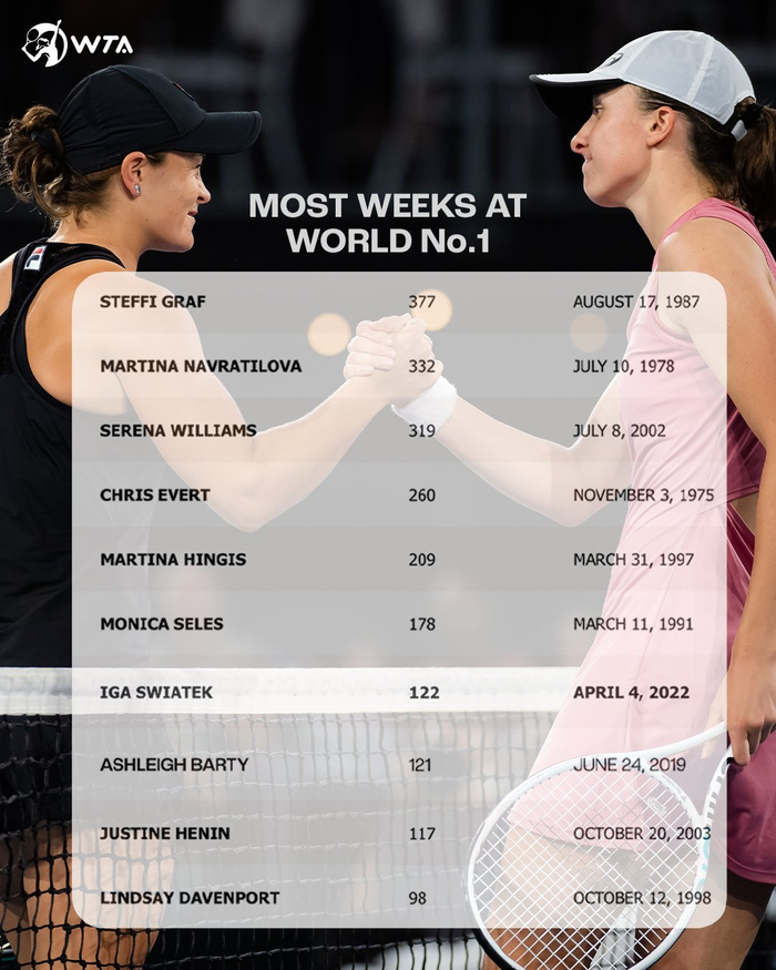 分撕裂森林 分撕裂森林