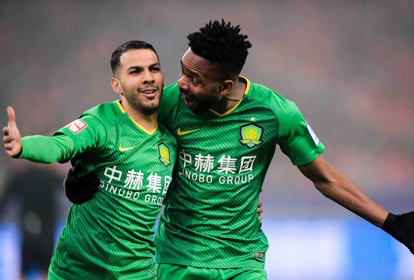 动物朋克 动物朋克